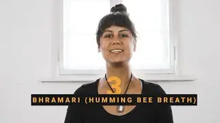 Humming Bee Breath | How to free the mind of anxiety