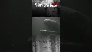 Звук Блуп/Bloop 