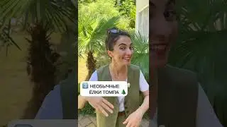 Цветник или плющ? Ландшафтный дизайн своими руками! Шикарный сад: клумба, туя, ель, цветы Дом в Сочи
