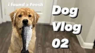 ANOTHER TOY FOR THE GRAVEYARD 🪦 | Dog Vlog 02