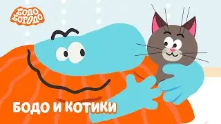 😻 Бодо Бородо - Бодо и котики 😻