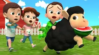 Baa Baa Black Sheep Song 🐏 ! | olaalaa Nursery Rhymes & Baby Songs