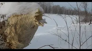 Поездка деревню  Бродим по диким звериным тропам