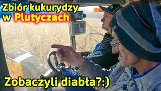 Service, combine harvester start-up in Plutycze 👉Cropping maize 👉u Farmer from Podlasie