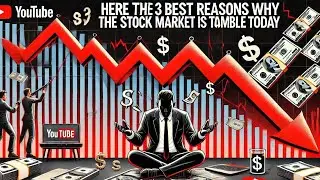 Why the Stock Market is Declining (and How to Profit)