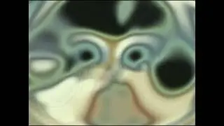 (NEW EFFECT) Klasky Csupo in Talkingormulator V23
