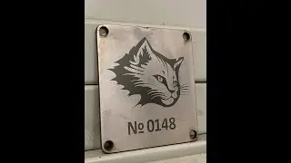 Шильды