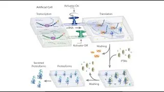 An Artificial Cell On-A-Chip