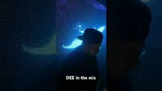 DEE in the mix