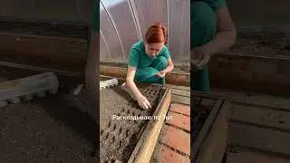 Самый удобный способ посева редиса 👆
