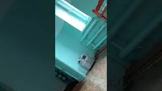 Забайкалье: в больнице тусят крысы