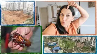 ❤️ИЗРАИЛЬ❤️ ТАРАКАНЫ ДОМА 😱 ЖИЗНЬ СОБАЧЬЯ