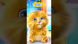 Talking Ginger