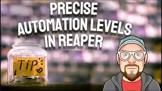 Precise Automation Levels in REAPER