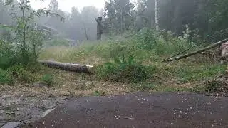 Начальник, начальник, г-градус давай, г-гнида!
