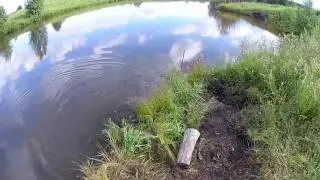 Рыбалка Ловим карпа на платном пруду