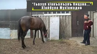 Гьазул хlакъалъулъ бицуна | Хlайбула Мухlамадов