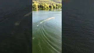 Runaway Boat 