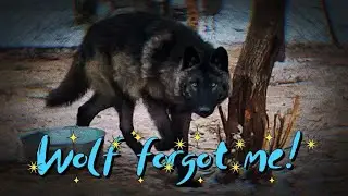 Visiting the Arctic Park! В гостях у Арктик Парка 