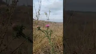 Всё созданное природой – совершенно.