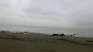 Краснодарское водохранилище (Кубанское море), осень 2016