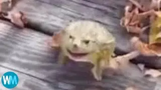 Top 5 BackFlip