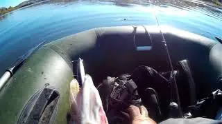 Осень2017
