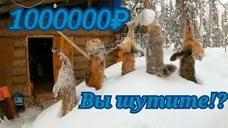 #Охота