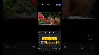 zoom in zoom out photo video editing - VN video editing tutorial 