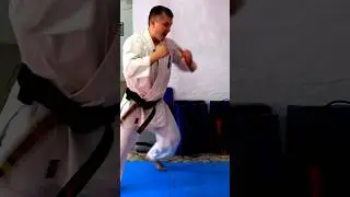 Как отбить печень / Solodovnikov Dojo Киокушин Каратэ 