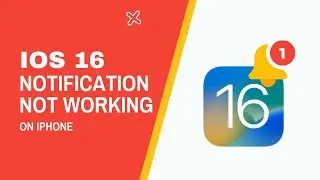 How to Fix If iOS 16 Notification Not Working or Showing Up On iPhone