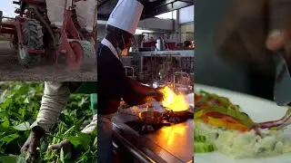 Your inflight meal; here's what happens way before you are served | From Farm to Fork @40000ft