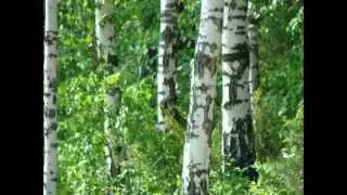 Из глубины веков Фильм о с Усолье ( Самарская область)