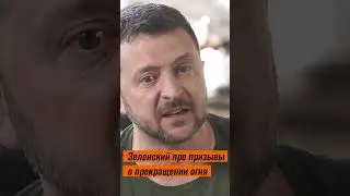 Зеленский про призывы о прекращении огня