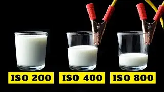 What Pros know about ISO in photography that YOU SHOULD