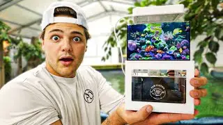 I Built the WORLDS smallest SALTWATER AQUARIUM!!