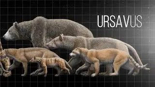 EVOLUTION OF BEARS AND THEIR HISTORY ON PLANET EARTH || LIVING EARTH ©