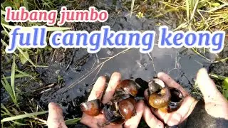 Mancing belut di saat air surut dan mengering 