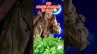 С пятницей и хороших выходных😂 Весёлая открытка для отличного настроения👍 Веселых выходных!