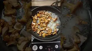лисички