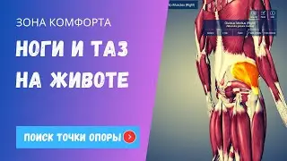 Ноги и таз на животе.  Функциональное дыхание. Взаимосвязи и расслабление.