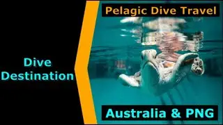 Diving Australia,Pelagic Dive Travel,Destination Spotlight for Scuba.Digital The #1 Online Dive Show