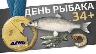 РУССКАЯ РЫБАЛКА 4 - День Рыбака 2024 / Квесты 34+ уровни, №8, 9 / Белорыбица и Виды / Стрим 4