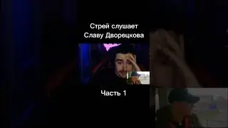Стрей слушает Славу Дворецкова
