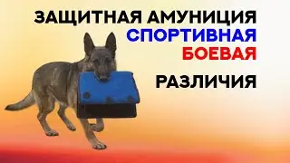 Защитная амуниция для подготовки собак. Спортивная. Боевая. Различия. Ammunition for service dogs.