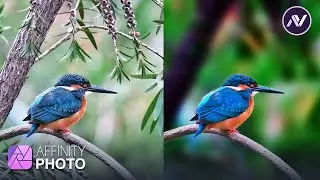Deep Blur Background (Like DSLR style) In Affinity Photo  | Affinity Photo Tutorial