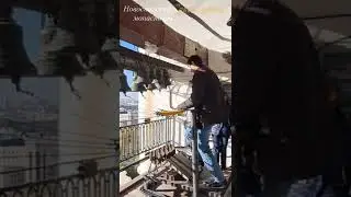 Колокольный звон в Новоспасском монастыре, звонарь Виктор Котельников 14.10.2022 