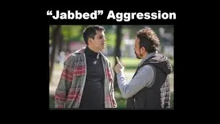 Dreams 2025-05-30 Jabbed Aggression