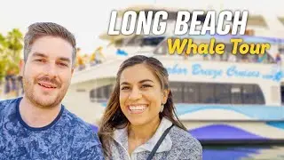 Harbor Breeze Cruises Whale Tour - Long Beach, California