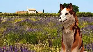 Суть тренда сказать своим голосом ~ АУФ 👆🐺